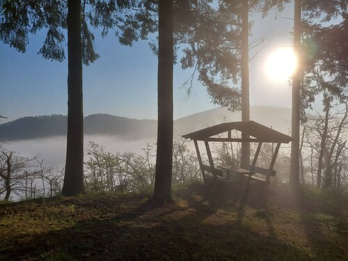 Ferienhaus 61 - with garden & sauna