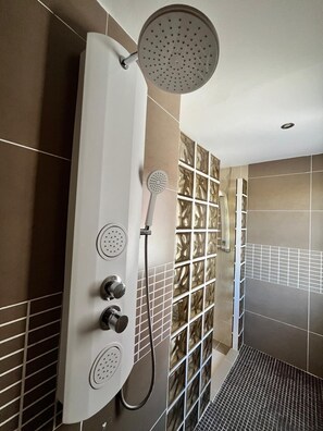 Shower, hair dryer, bidet, towels