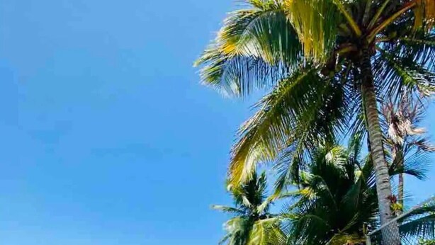 A beach with clear blue water, sandy shore, and large rocks. - New listing! Spacious 4-bedroom, water-front house in Las Picuas, Río Grande. (Río Grande)