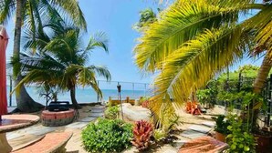 A tropical outdoor area with palm trees, a stone pathway, and a view of the ocean. - New listing! Spacious 4-bedroom, water-front house in Las Picuas, Río Grande. (Río Grande)