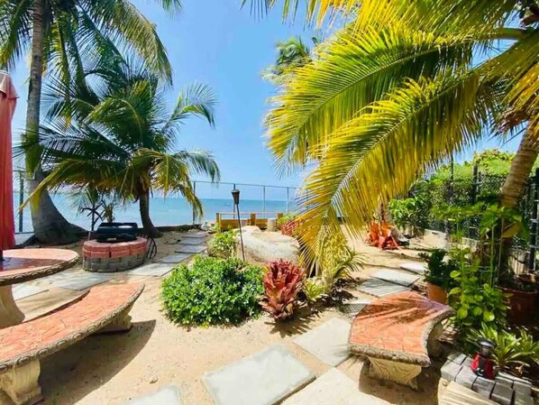 A tropical outdoor area with palm trees, a stone pathway, and a view of the ocean.