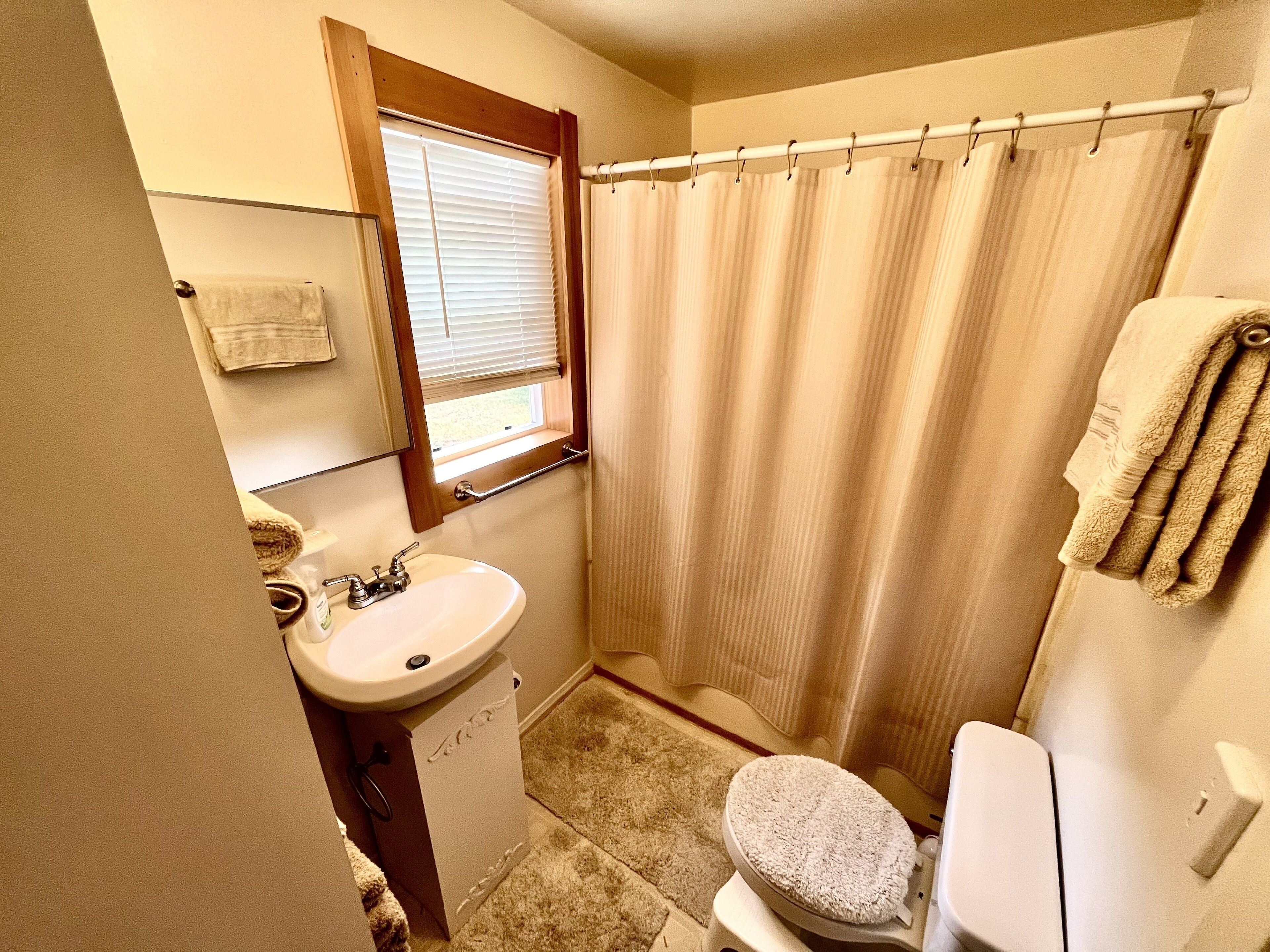 Hair dryer, towels, toilet paper