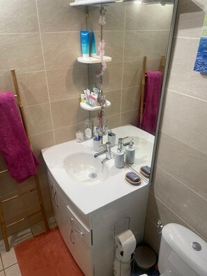 Dusche, Haartrockner, Handtücher, Seife
