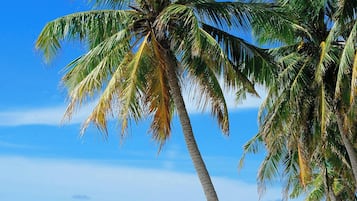 Playa en los alrededores