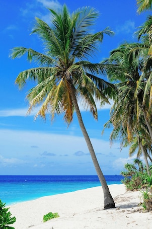 Beach nearby. Sunny Days Retreat, . 5 miles to beach, Fishing, 90min to Disney. Pet friendly