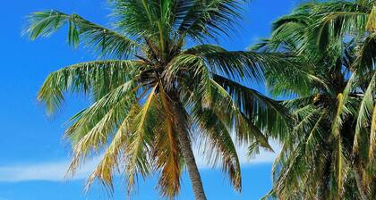 Sunny Days Retreat, . 5 miles to beach, Fishing, 90min to Disney. Pet friendly