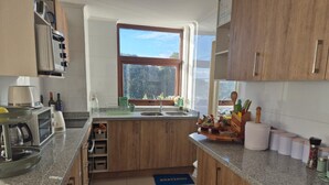 Private kitchen - Modern Lakefront Apartment with Stunning Terrace Views in Villarica (Villarica)
