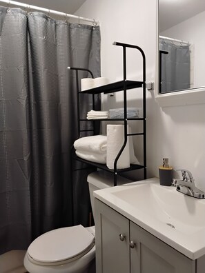 Hair dryer, towels, soap, toilet paper