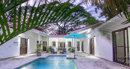 Hacienda Iguana Amazing 4 brm 5 bth private house w/pool