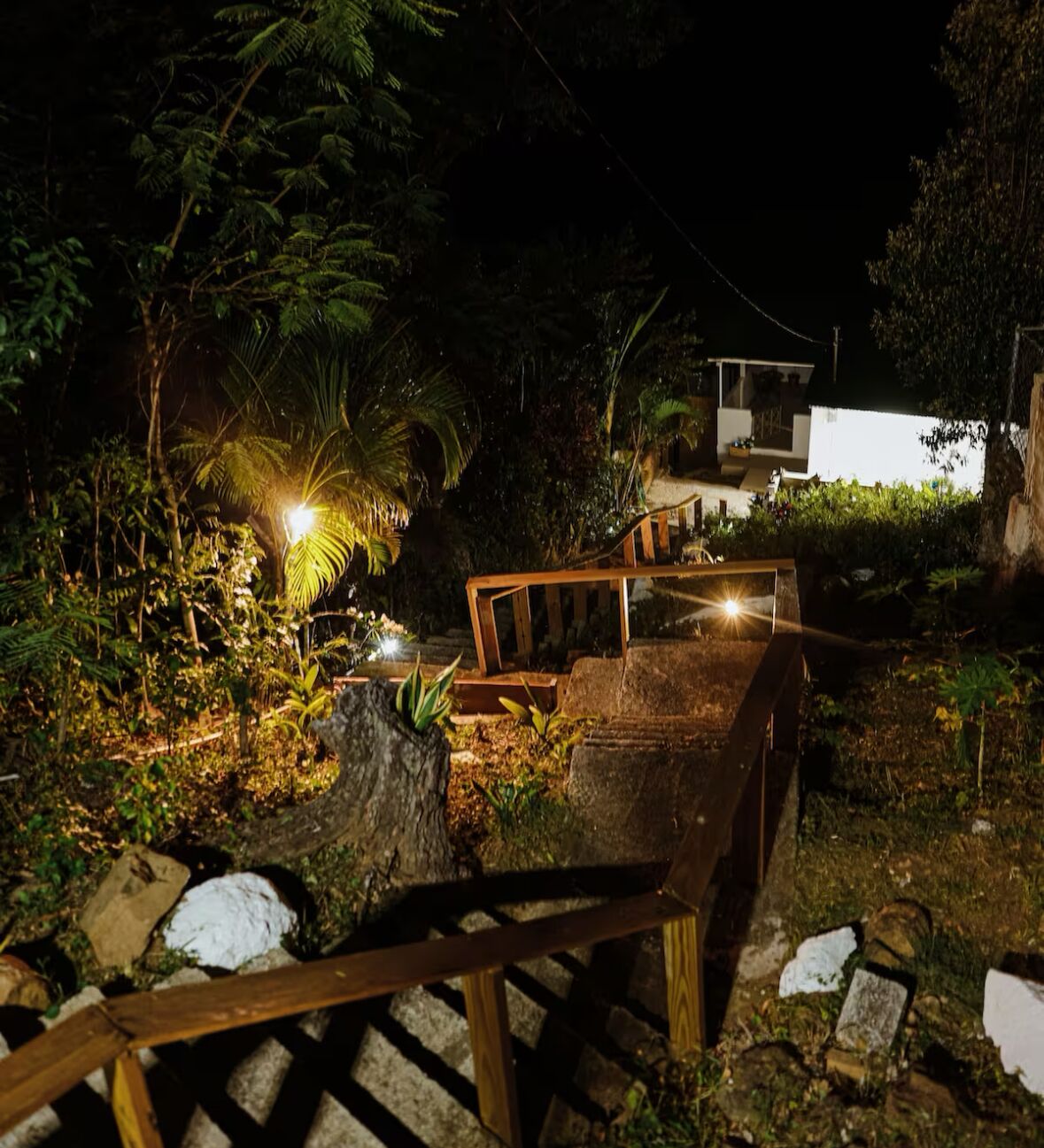 En træterrasse med trapper op til en hvid bygning, omgivet af frodig vegetation og et palmetræ.
