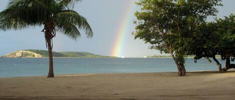 Sun-loungers, beach towels