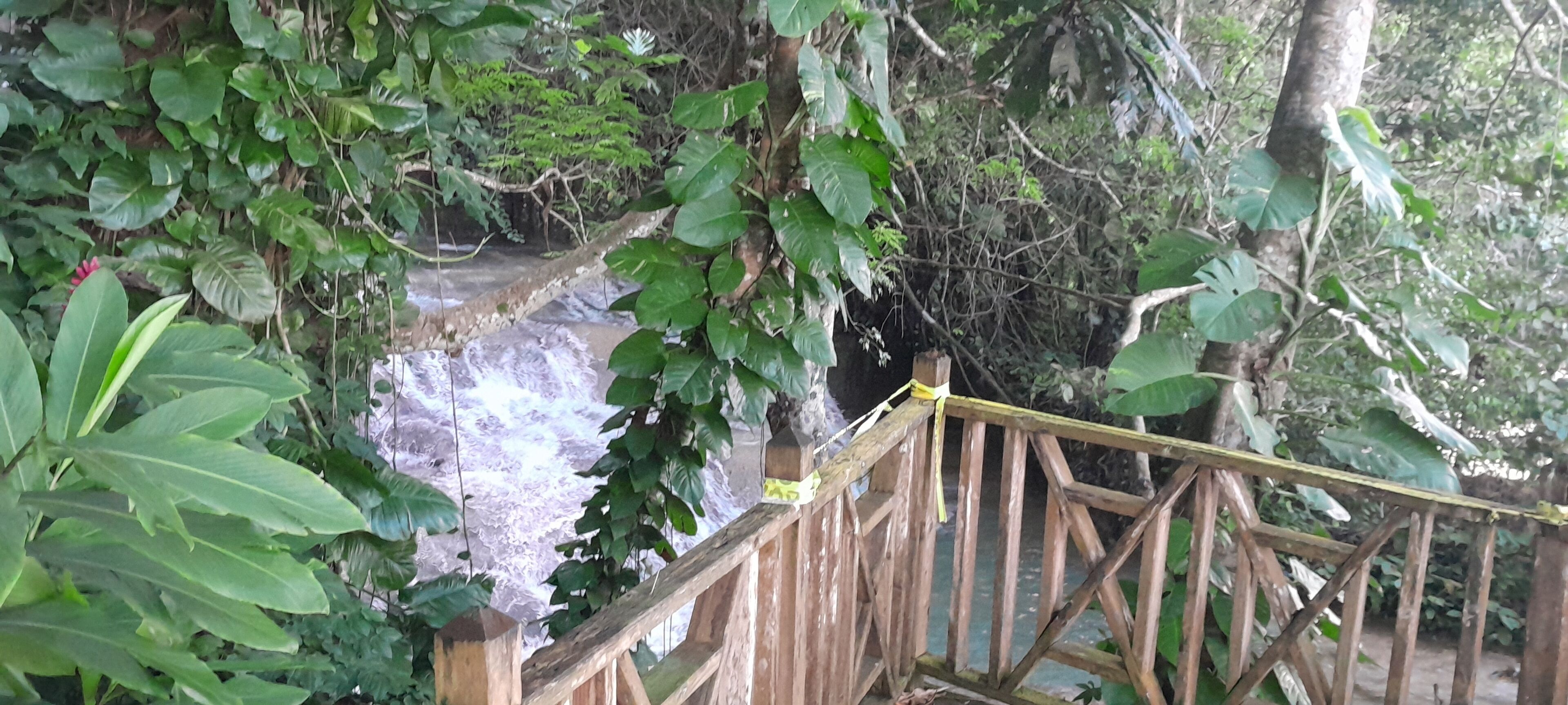 A wooden staircase leading to a waterfall surrounded by dense foliage.