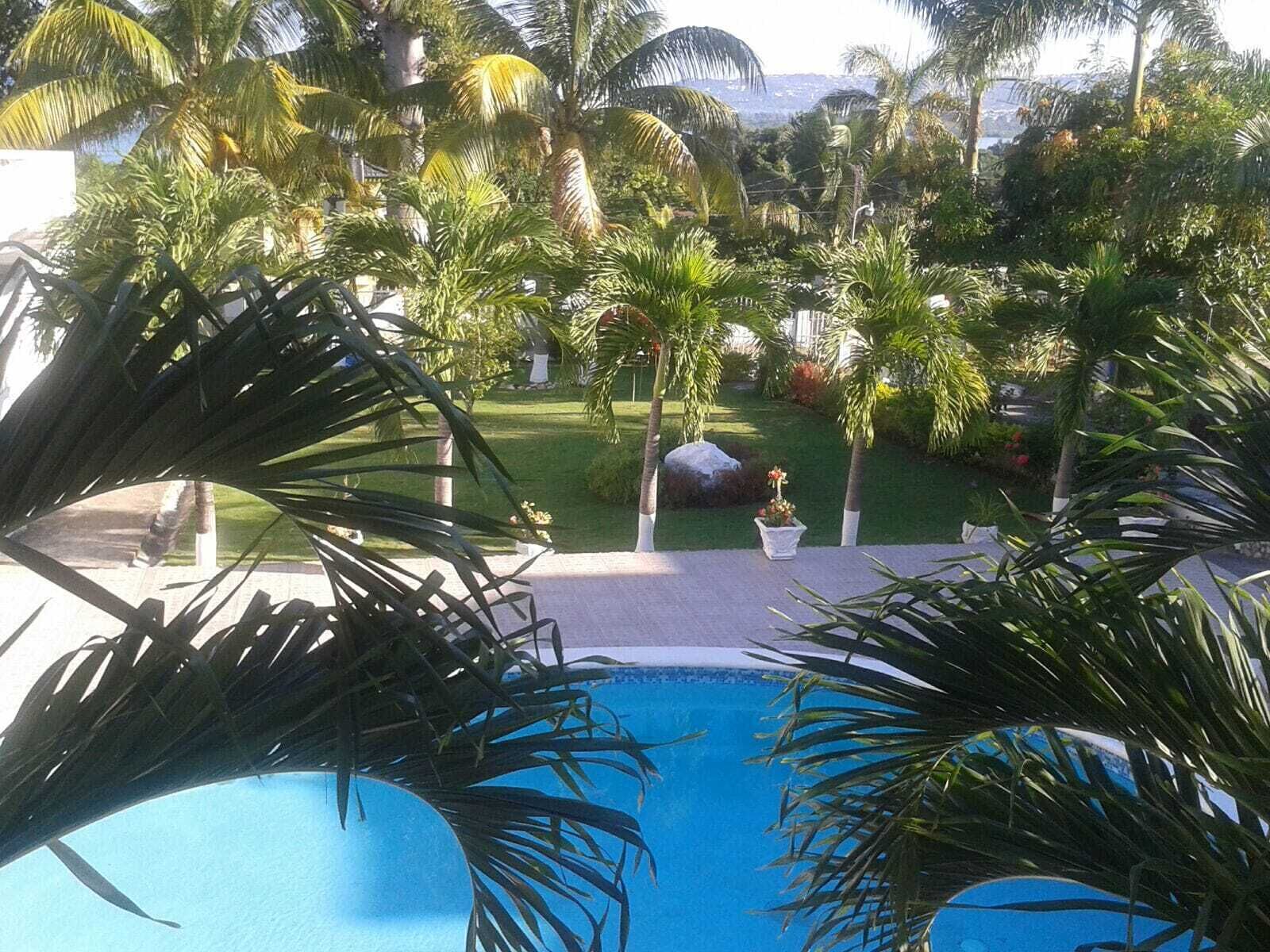 A pool surrounded by palm trees and a well-maintained lawn with a rock centerpiece.