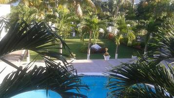 A pool surrounded by palm trees and a well-maintained lawn with a rock centerpiece.