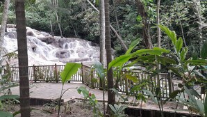 A natural waterfall surrounded by dense foliage and a wooden deck. - Turquoise Sea Villa (Montego Bay)