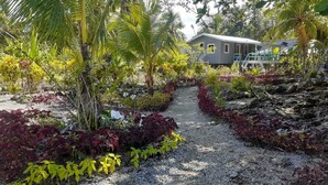 Un sendero que lleva a un edificio rodeado de vegetación tropical.