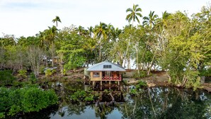 Una casa rodeada de agua y palmeras.
