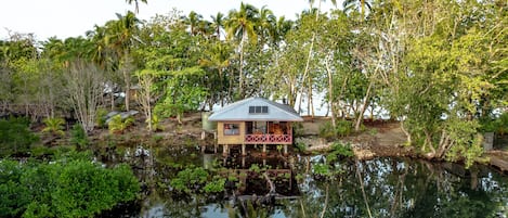 Una casa rodeada de agua y palmeras.