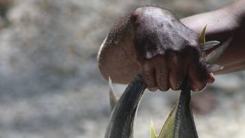 Uma pessoa segurando dois peixes.