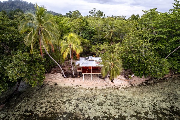 A beachfront property with a single-story structure surrounded by dense tropical vegetation.
