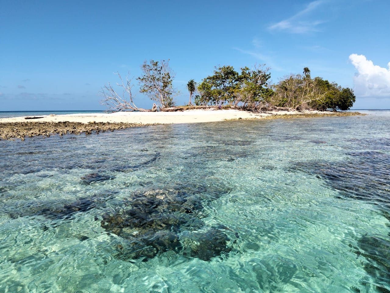 Une plage avec une eau claire et peu profonde, un rivage sablonneux et une petite île couverte d’arbres.