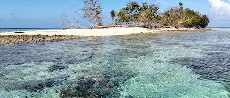 Una playa con aguas transparentes y poco profundas, una orilla arenosa y una pequeña isla con árboles.