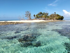 A beach with clear shallow waters, a sandy shore, and a small island with trees.