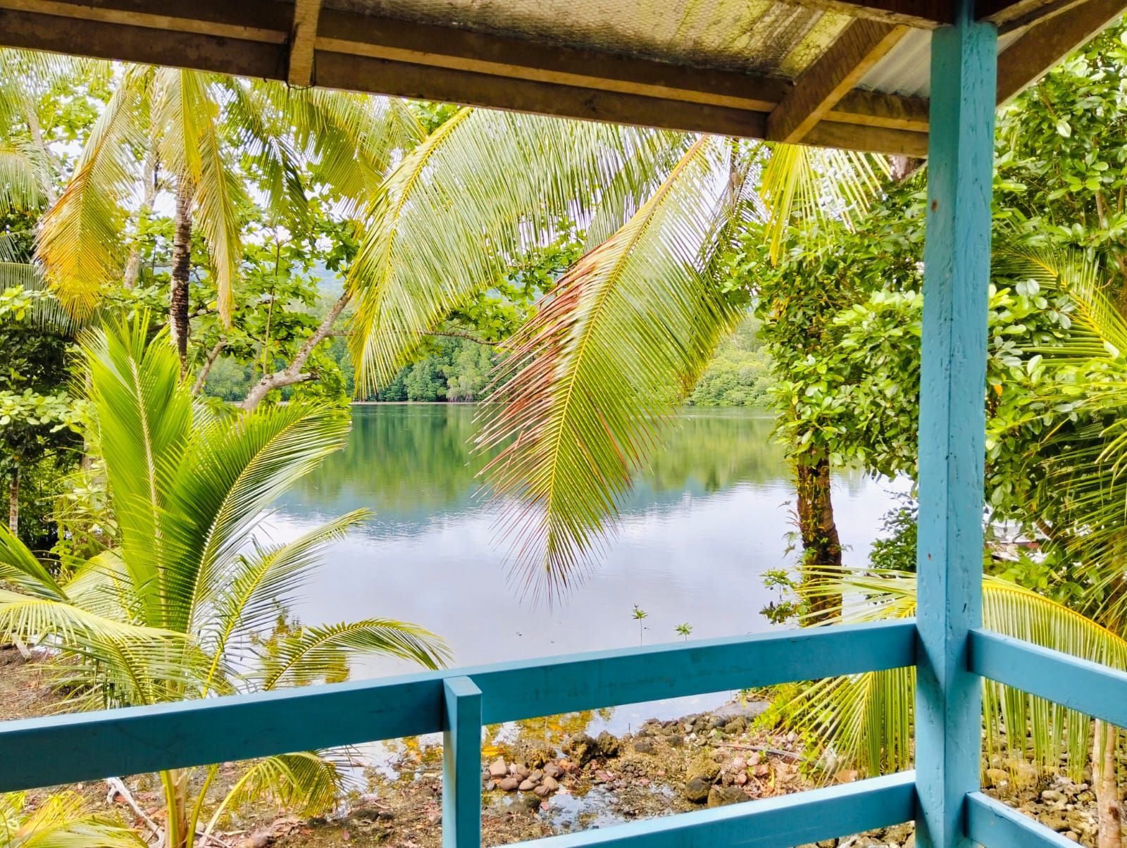 Vista tranquila de um lago, com um deck de madeira e vegetação exuberante.