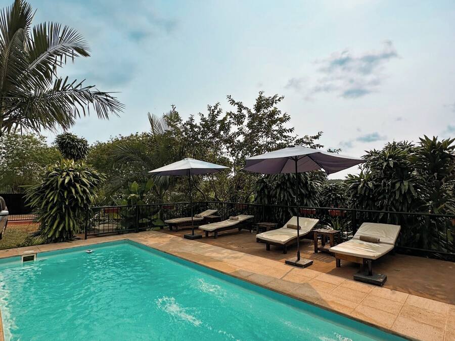 Piscina con sillas de descanso y sombrillas, rodeada de exuberante vegetación.