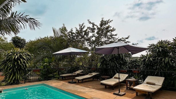 Una piscina con sillas de descanso y sombrillas, rodeada de abundante vegetación.