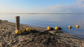 Een zandstrand met een houten paal en gele boeien in het water.
