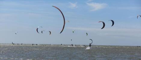 A beach with multiple people engaged in kite surfing.