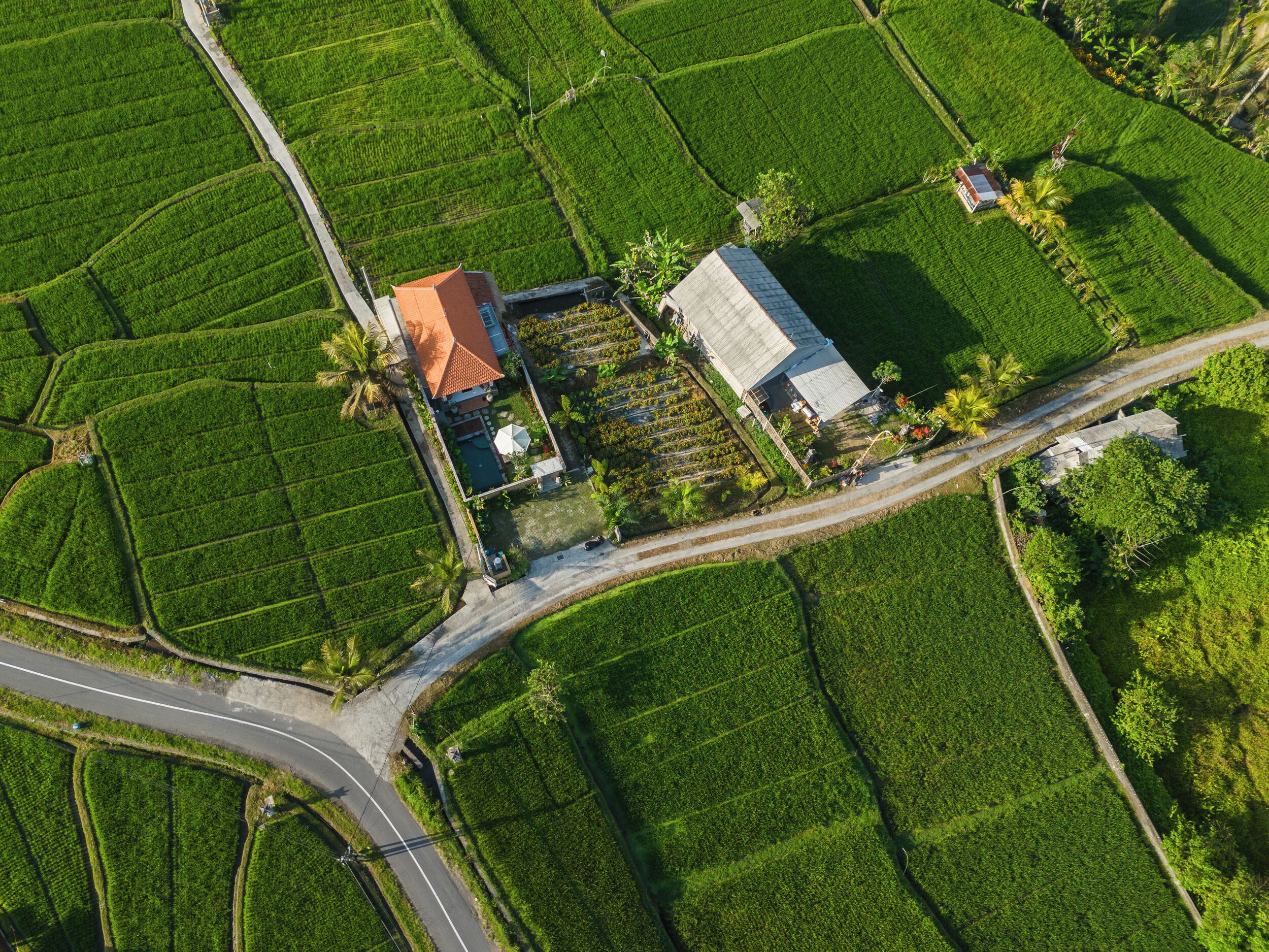 An aerial view of a rural area with terraced fields, a road, and a house with a red roof.