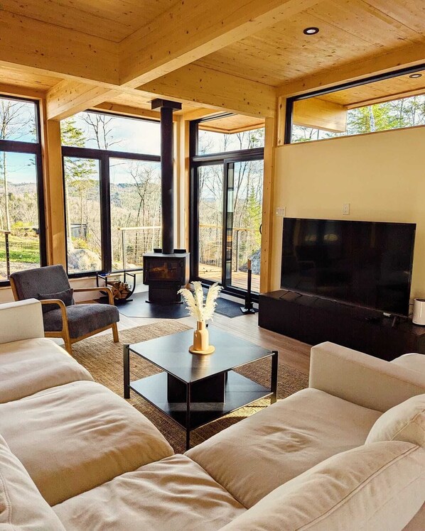 TV connectée, cheminée