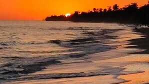 A sunset over a beach with waves and a silhouette of trees. - Take it easy at our eco friendly beach cabins where life meets nature funfilled  (Westmoreland)