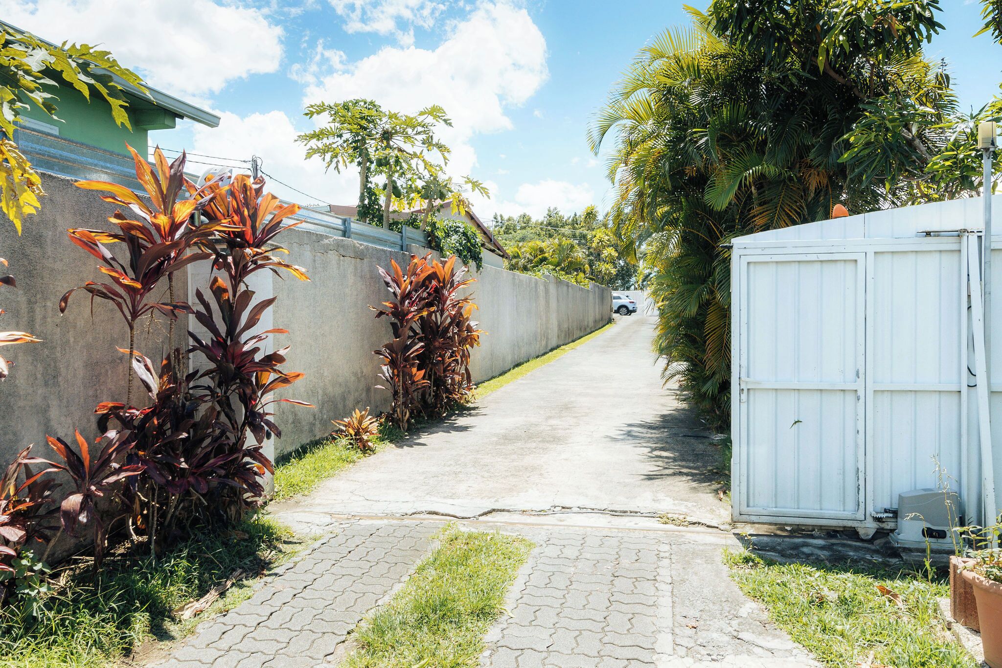 Un estrecho sendero bordeado por paredes de concreto y plantas en macetas, que lleva a un edificio blanco.