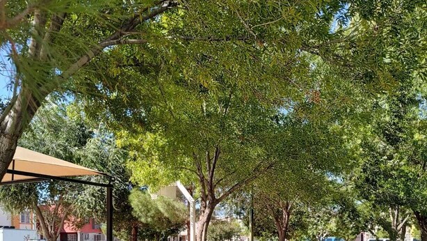 A park with a metal bench, trees, and a building in the background.