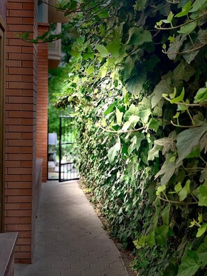 A narrow brick pathway flanked by dense green foliage, leading to a glass door entrance. - The Sindh House Tbilisi (Tbilisi)