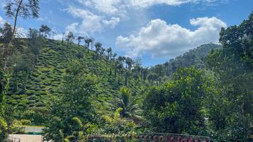 Una plantación de té en terrazas con una zona pavimentada y una valla de metal.