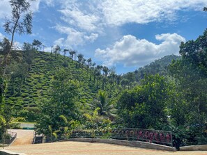 A terraced tea plantation with a paved area and a metal fence. - Snow Hills Nature Resort (Peermade)