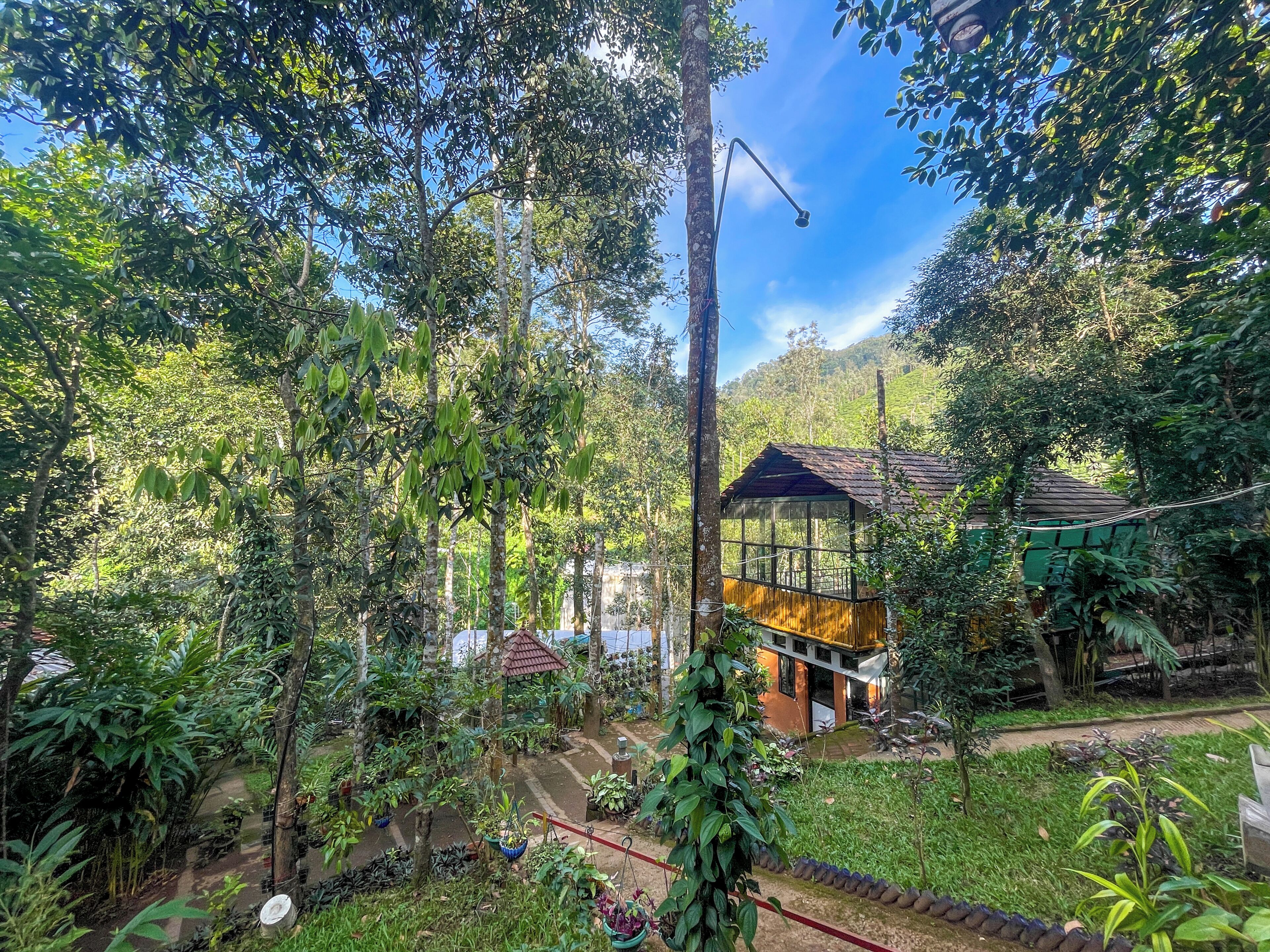 A lush garden with a wooden structure, a pathway, and a view of a hill.