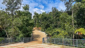 A pathway leading through a forested area with a metal railing on one side and a patterned walkway on the other. - Snow Hills Nature Resort (Peermade)