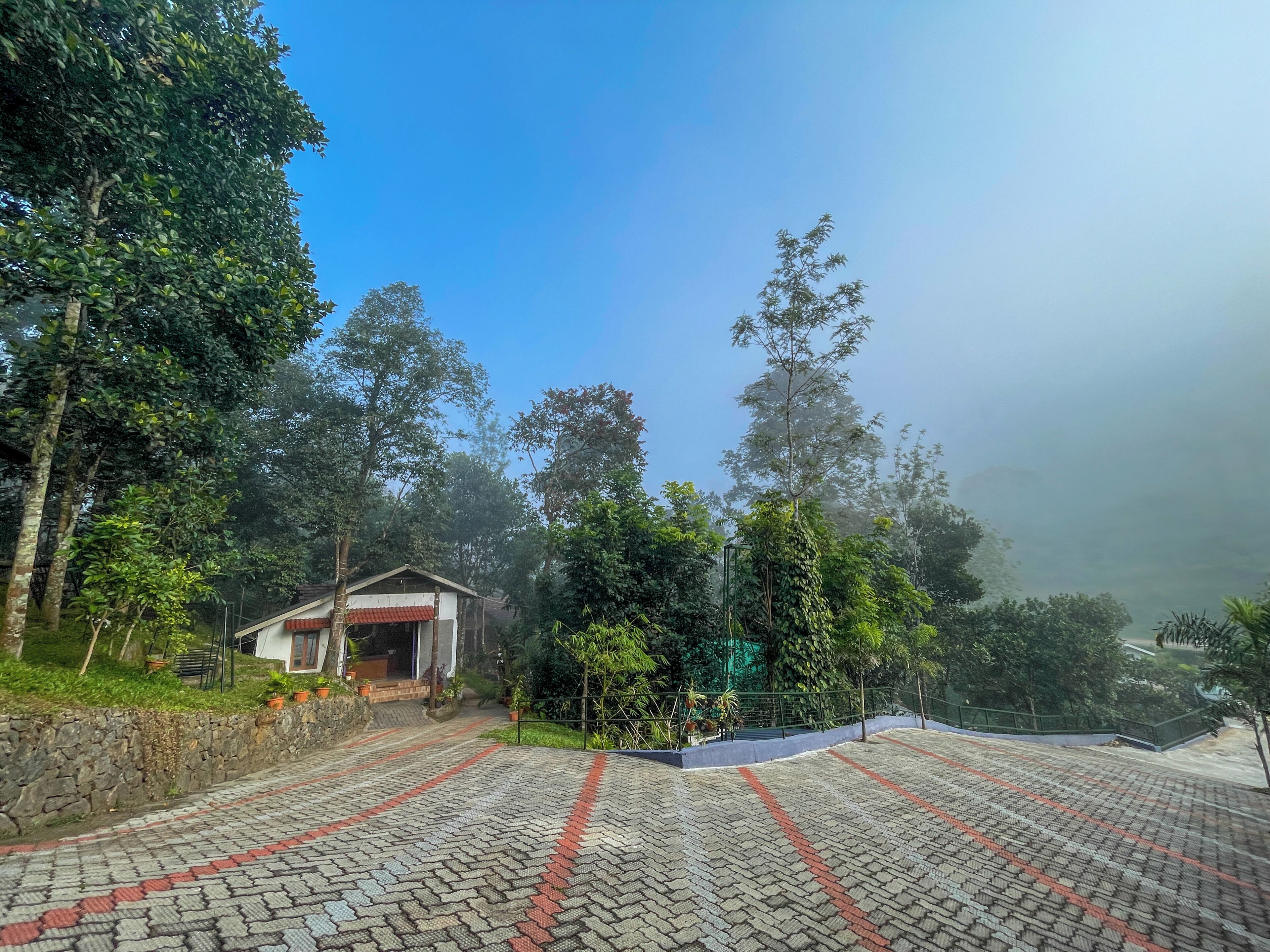 A paved pathway leading to a building with a red roof, surrounded by dense greenery and trees.