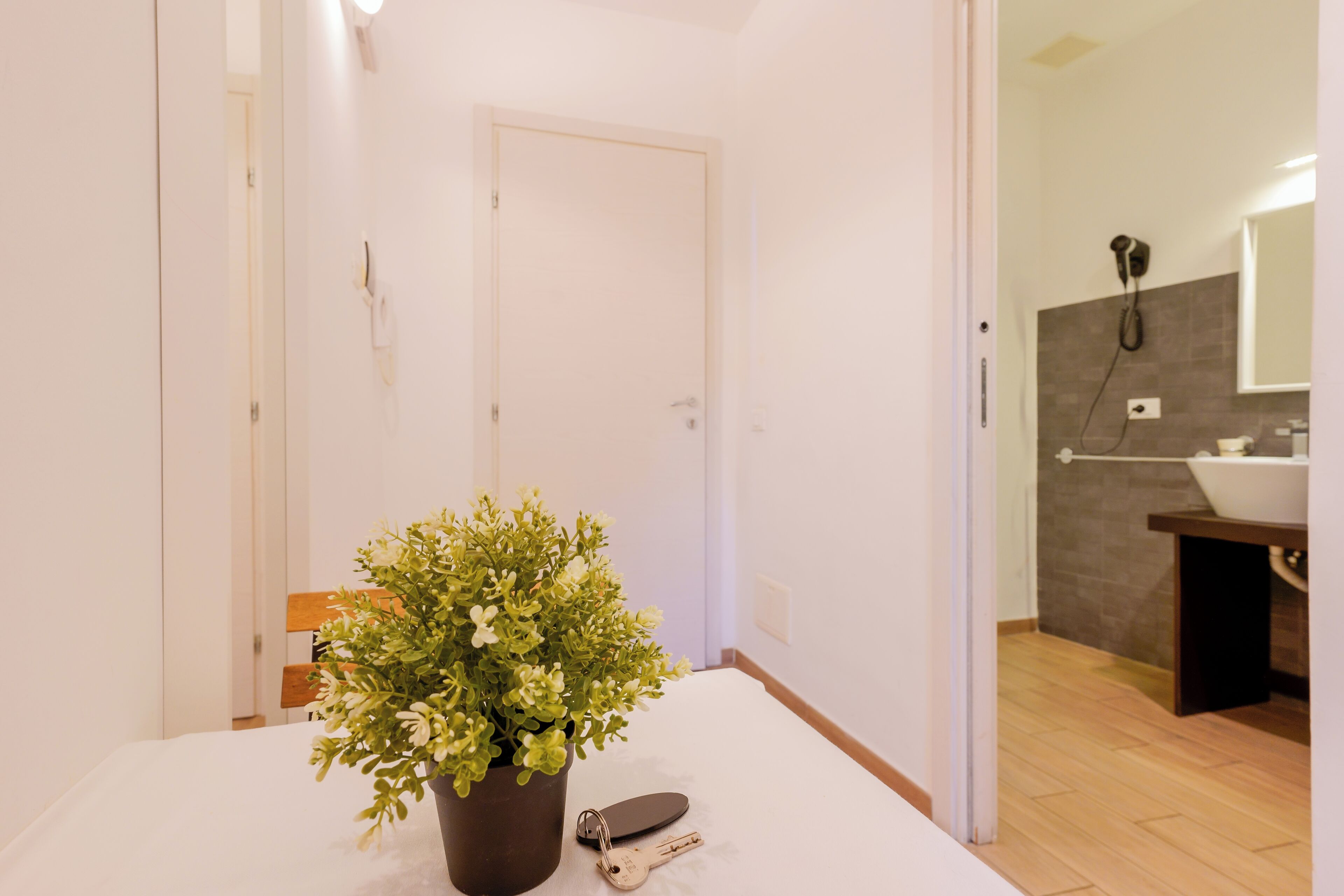A room with a potted plant, a key, and a door leading to a bathroom with a sink and mirror.