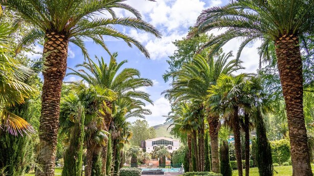 A pathway lined with palm trees leading to a building with a modern architectural design.