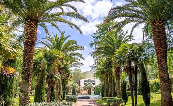 Stroll through the serene garden, surrounded by lush palm trees and vibrant greenery, leading to a modern building with a flat roof and large windows.