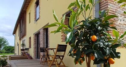 Country gite and B&B, reception room, garden, swimming pool