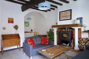 TV connectée, cheminée, livres, chaîne hi-fi