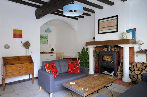 Smart TV, chimenea, libros, estéreo