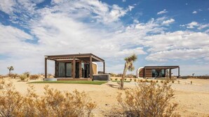 A modern desert-style building with a covered patio and a small garden area.